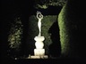 Photo of a statue in the garden at night