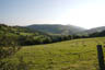 The views of Trewyn